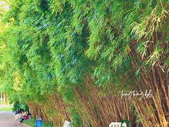 -晓港公园