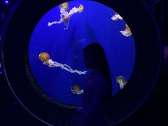 -成都浩海立方海洋公园