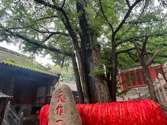 -红螺寺