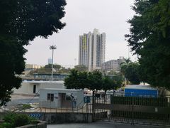 -燕子岗体育场