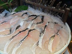 -辣伍鲜毛肚老火锅(元一店)