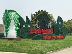 -上海都市菜园