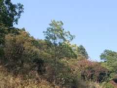 -火炉山森林公园