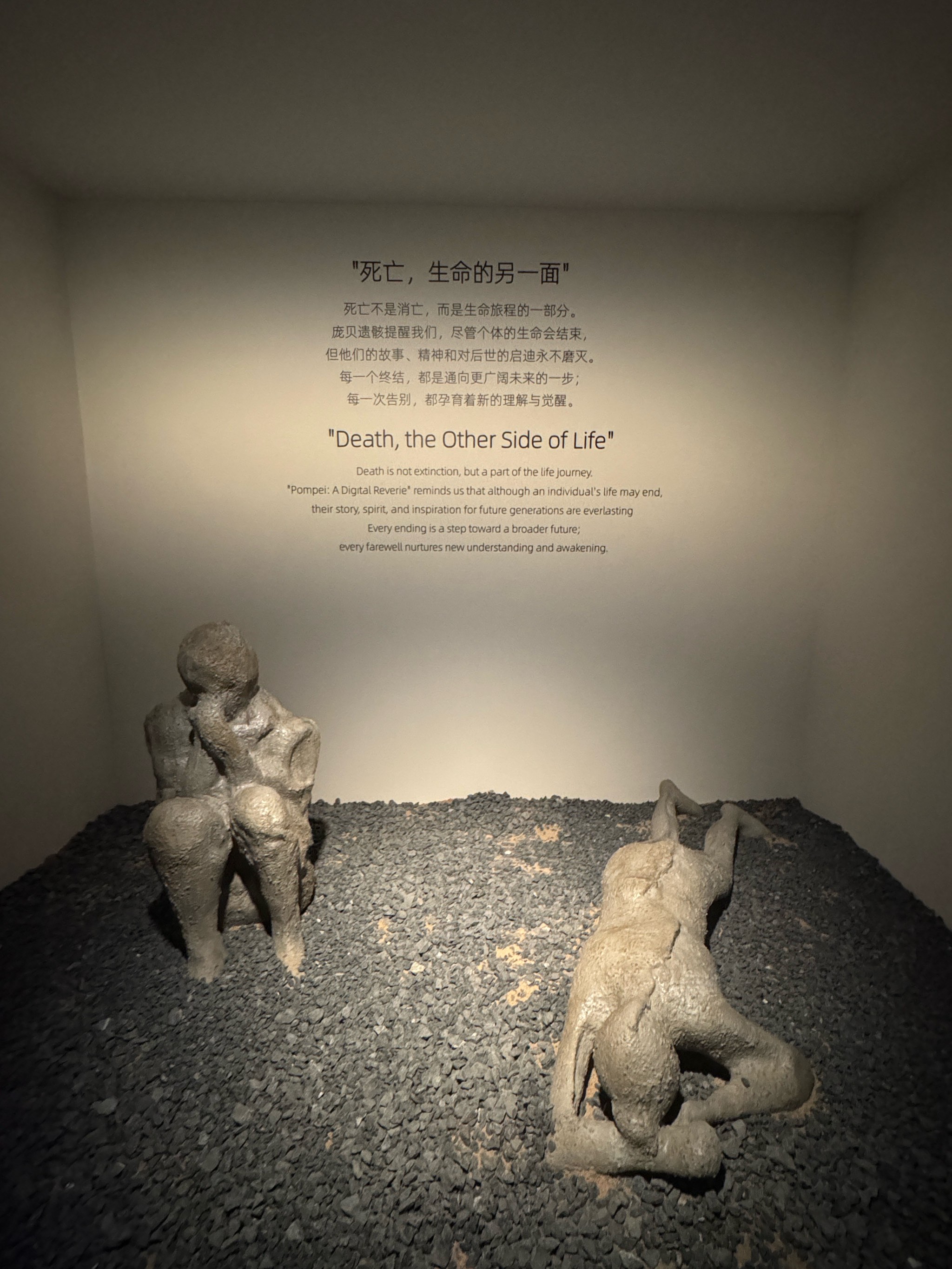 庞贝古城文物展览图片