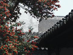 -耦园
