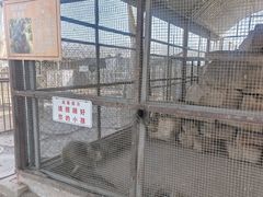 -河北村民俗体验园