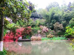 -莫干山风景区