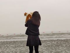 -江山半岛白浪滩景区