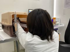 -北京恒爱动物医院(清景园分院)