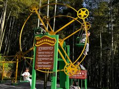 -东明山森林公园