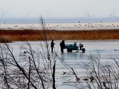 -野鸭湖国家湿地公园