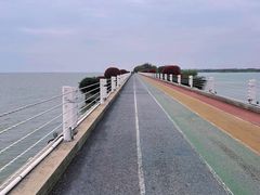 -贡湖湾湿地公园