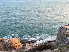 -小麦岛公园