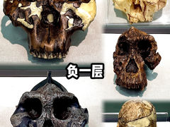 -国家自然博物馆