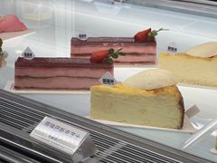 -TD66高山铁皮石斛养生茶饮