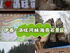 -汤旺河林海奇石景区