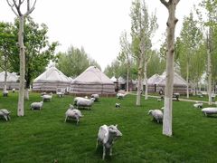 -九十九顶毡房(阜石路店)