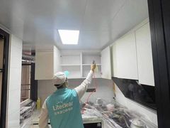 -Liteclear日本进口强效除甲醛检测治理(旗舰店)