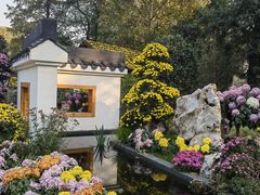 -惠山古镇·寄畅园