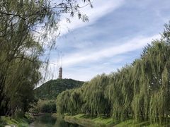 -北坞公园