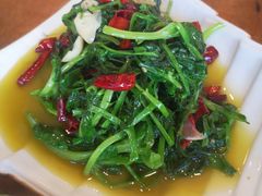 -石磨豆花家常菜·牦牛排土火锅