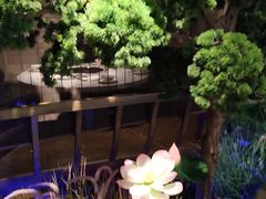 -重庆德庄火锅(映月湖环宇城店)