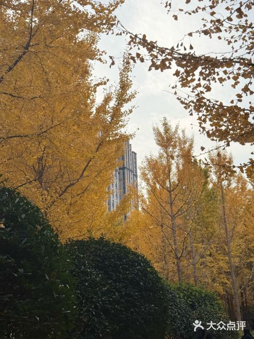 济南森林公园图片