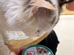 -藏猫猫咖啡主题馆(中央大道店)