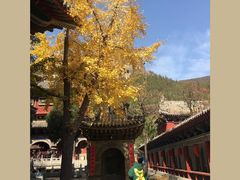 -青龙山生态文化旅游区(慈云寺)