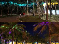 -欢乐海岸椰林沙滩-2025湾区超级灯会