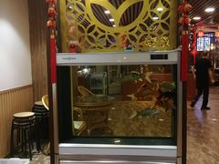 -满禾林火锅(丹东路店)
