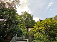 -十八棵（老龙井）御茶园(老龙井店)