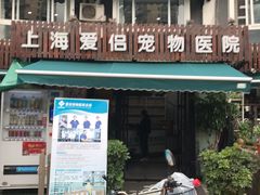 -爱侣宠医·鹦鹉专科·小型哺乳类·异宠专科(灵石路店)