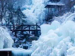 -趵突泉景区