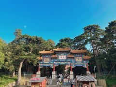 -颐和园