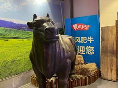 -秦风肥牛(阳阳国际店)