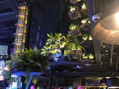 大堂-胡桃里音乐酒馆(四道口店)