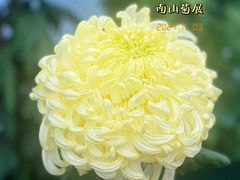 -南山植物园