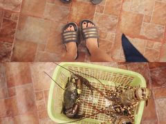 -大螃蟹海鲜餐厅