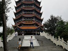 -铁山坪森林公园