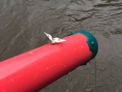 -红河谷漂流