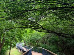 -白水寺森林公园