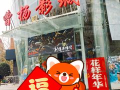 -曹杨影城(曹杨店)