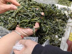 -佳乐家(新华店)