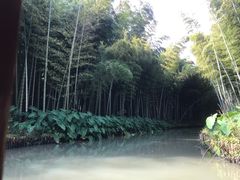 -同里国家湿地公园