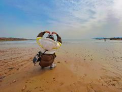 -青岛第二海水浴场