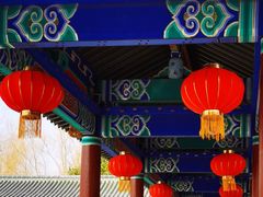 -莲花池公园