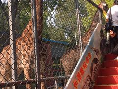 -荆州中山公园动物园