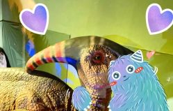 -恐龙探索乐园(磁器口店)