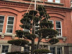 -北海道厅旧本厅舍(旧本庁舎)